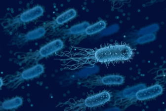 Koliformní bakterie ve vodě: vše, co byste o nich měli vědět