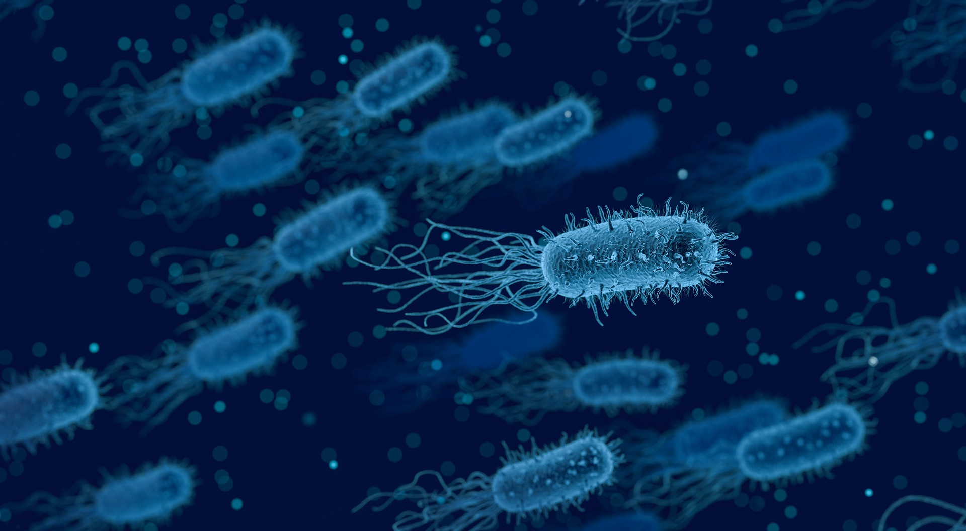 Koliformní bakterie ve vodě: vše, co byste o nich měli vědět