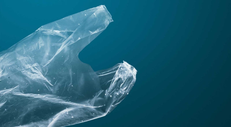 filbec - České řeky jsou čistší, přibývá ale mikroplastů